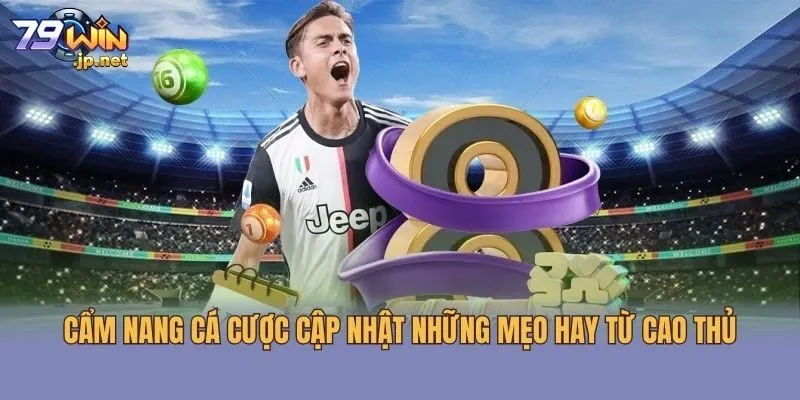 Cẩm nang cá cược cập nhật những mẹo hay từ cao thủ